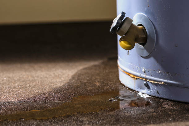 Best Water damage restoration cost  in Hampton Bays, NY
