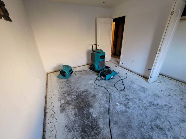 Best Carpet water damage restoration  in Hampton Bays, NY